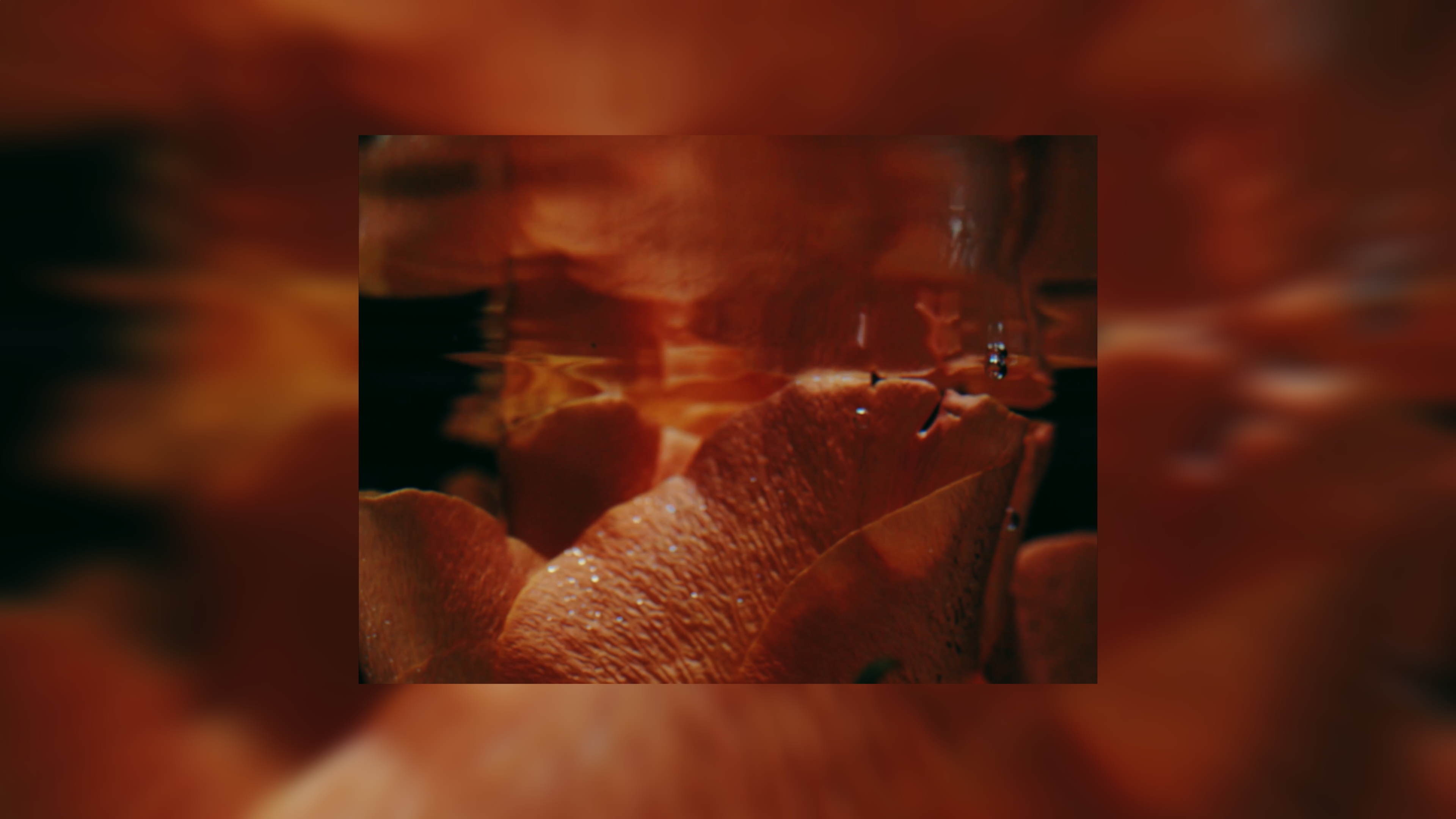 Sample Work